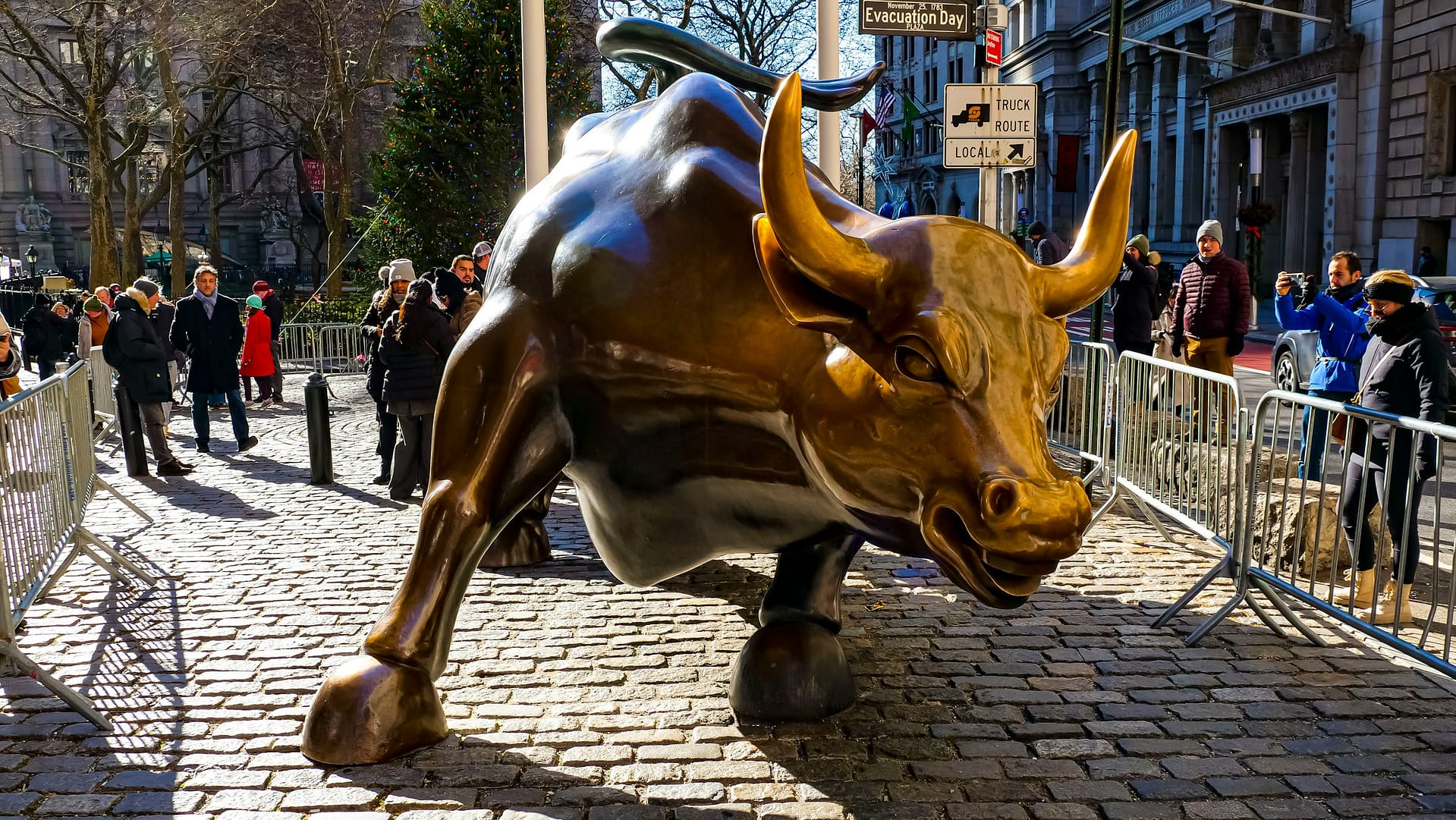 Wall Street Bull